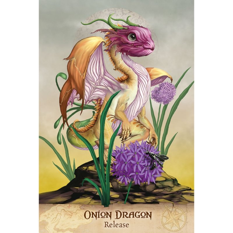 Field Guide To Garden Dragons - East Meets West USA