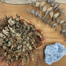 Jericho Flower - East Meets West USA