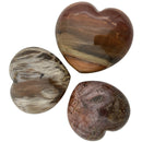 Petrified Wood Heart - East Meets West USA