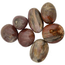 Petrified Wood Palm Stone - East Meets West USA