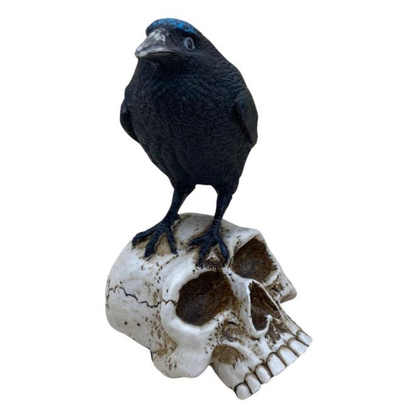 Raven on Skull Figurine - East Meets West USA