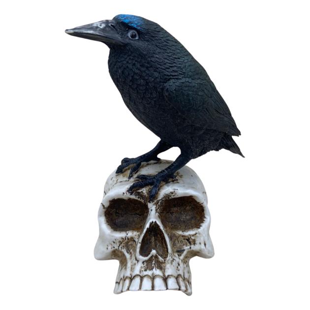Raven on Skull Figurine - East Meets West USA