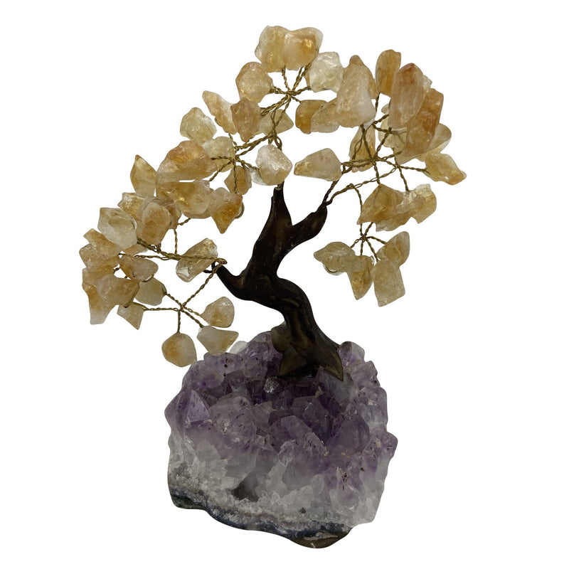 Rough Citrine Crystal Tree - East Meets West USA