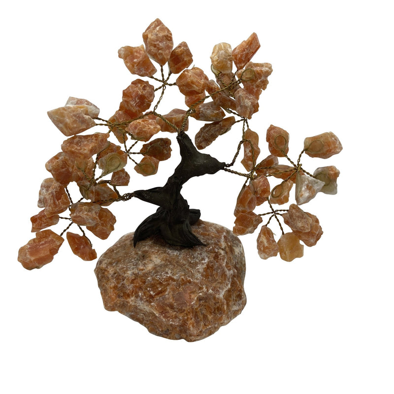 Rough Orange Calcite Crystal Tree - East Meets West USA
