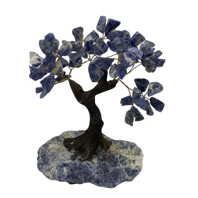 Rough Sodalite Crystal Tree - East Meets West USA