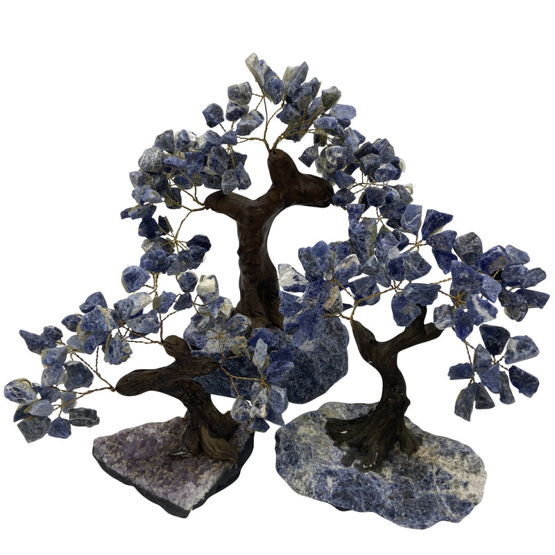 Rough Sodalite Crystal Tree - East Meets West USA
