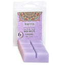 Scented Wax Melts - East Meets West USA