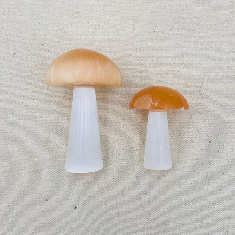 Selenite Mushroom - East Meets West USA
