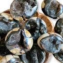 Septarian Dragon Egg Palm Stone - East Meets West USA