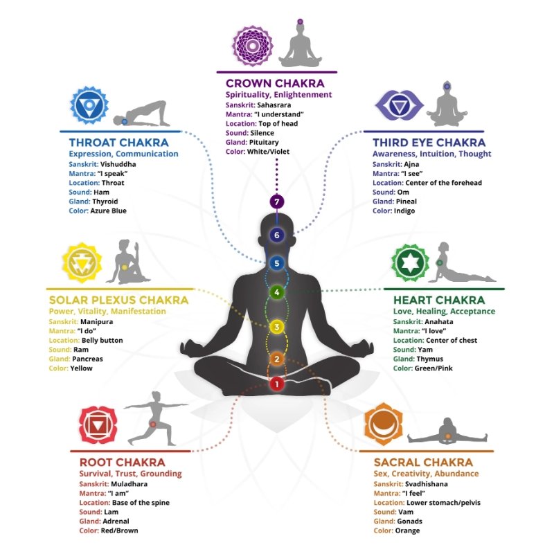 The Ultimate Guide to Chakras (Beginners Guide) - East Meets West USA