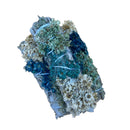 White Sage w/ Mullein & Milacea - East Meets West USA